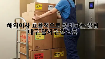 해외이사, 효율적으로 준비하는 꿀팁! (대구 달서구 갈산동)