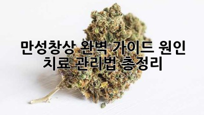 만성창상 완벽 가이드: 원인, 치료, 관리법 총정리