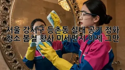 서울 강서구 등촌동 실내 공기 정화 청소: 봄철 황사, 미세먼지 이제 그만!